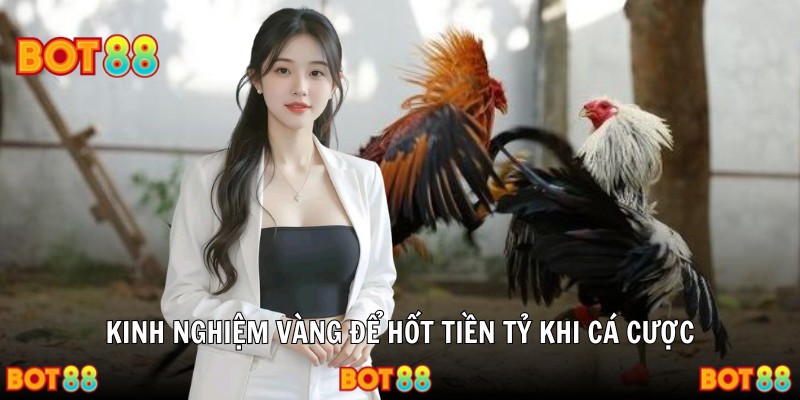 Kinh nghiệm vàng để hốt tiền tỷ khi cá cược