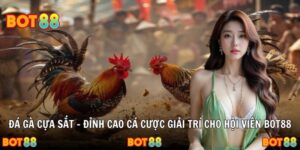 Đá Gà Cựa Sắt – Đỉnh Cao Cá Cược Giải Trí Cho Hội Viên Bot88